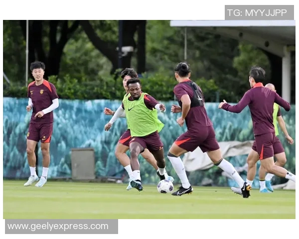 纽卡斯与西悉尼的激烈对决展现足球魅力与团队精神的巅峰对抗