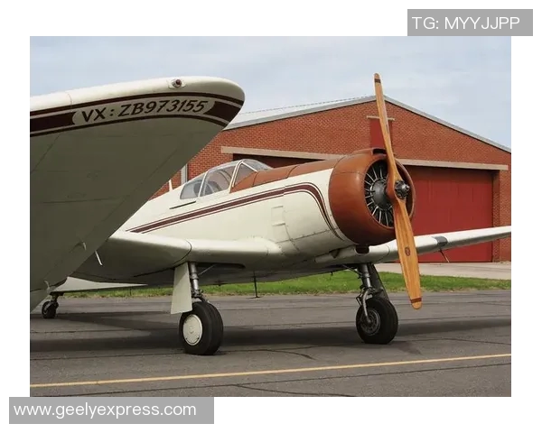 诺丁汉与西布罗姆精彩对决在线直播全程回顾与分析