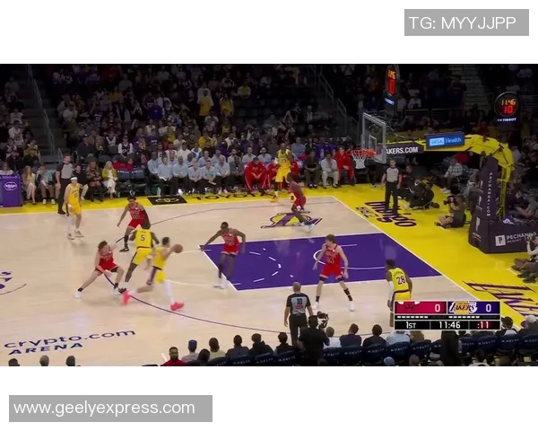 2010年NBA总决赛公牛对阵湖人经典对决回顾与分析 2010年NBA总决赛公牛对阵湖人经典对决回顾与分析