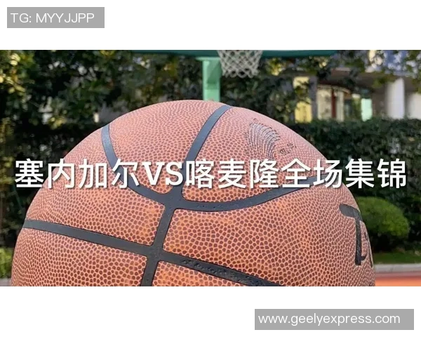 德国与喀麦隆比赛比分深度分析及战术解读 德国与喀麦隆比赛比分深度分析及战术解读